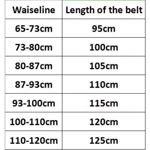 l**is V*t*n belt